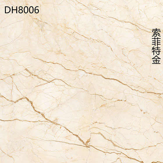 DH8006