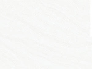 40805